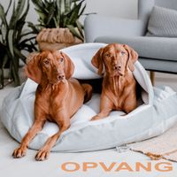 Opvang